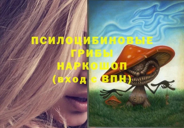 дмт Ладушкин