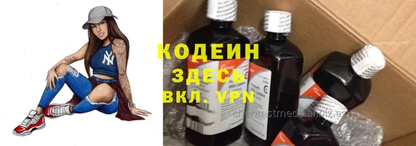 мдпв Лабытнанги
