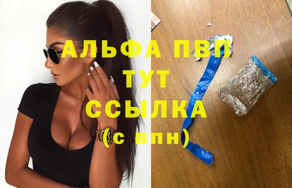 дмт Ладушкин