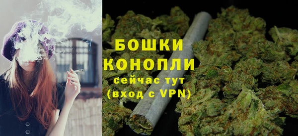 дмт Ладушкин