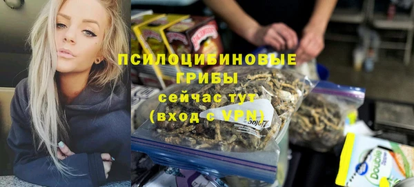 дмт Ладушкин