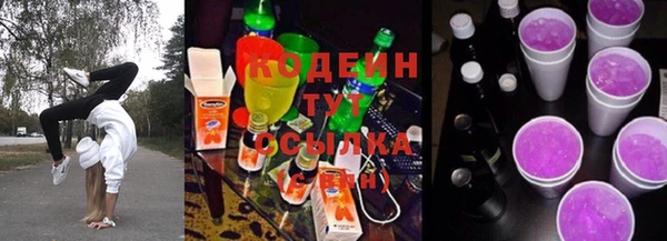 дмт Ладушкин