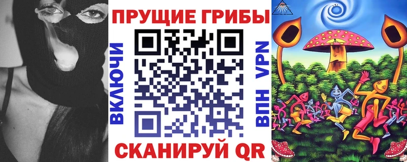 Галлюциногенные грибы Cubensis  купить наркотики цена  Терек 